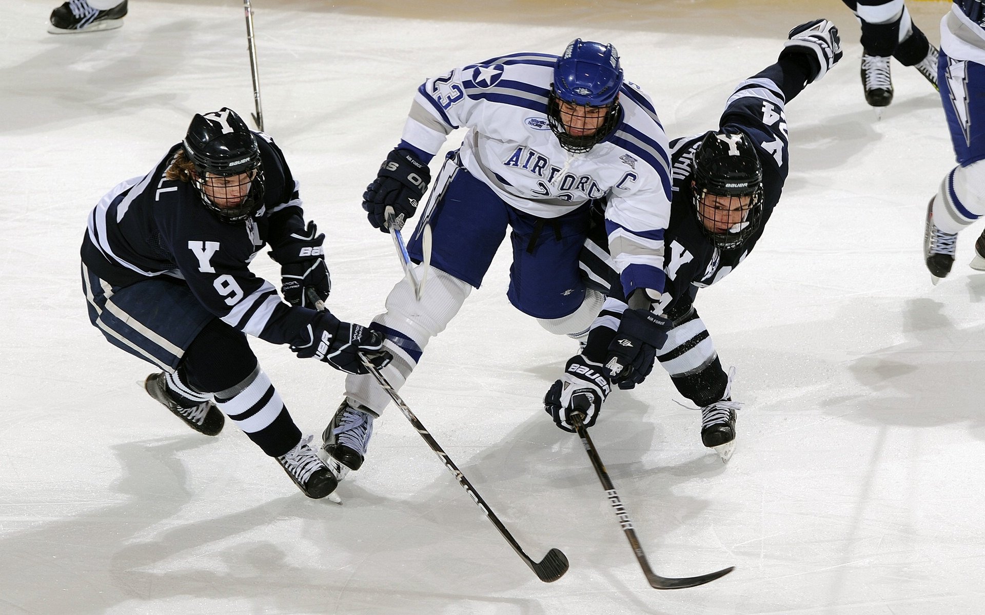 “亚戈·卡尔曼的精准传球与进攻视野,成就阿根廷美洲狮队的制胜法宝”